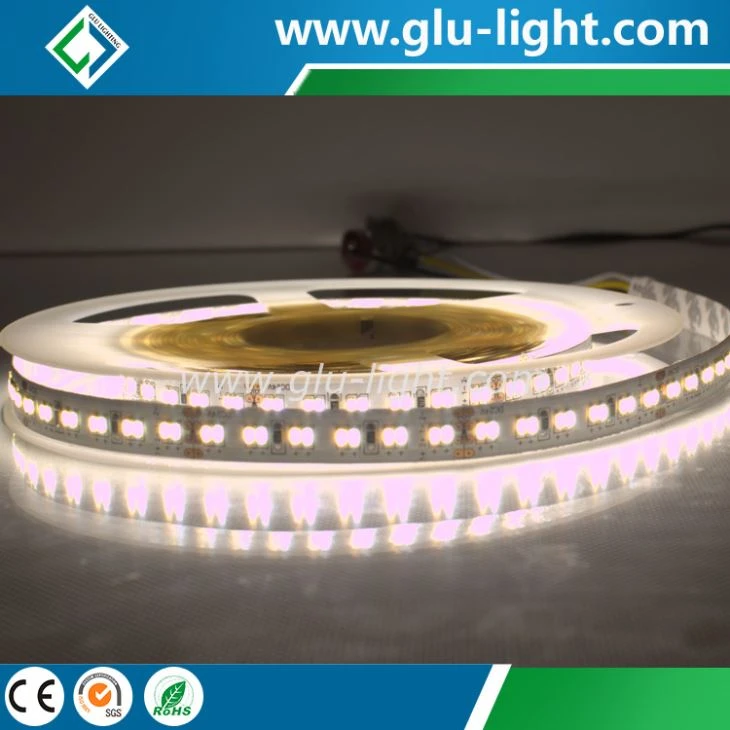 3 year warranty dot free high density CRI95 240leds/m 3014 bi color led strip tape