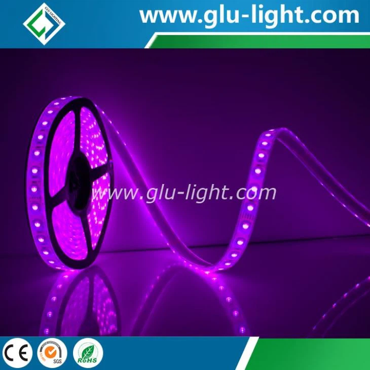 New design tough solid silicone corrosion-proof IP68 5050 RGBw led strip