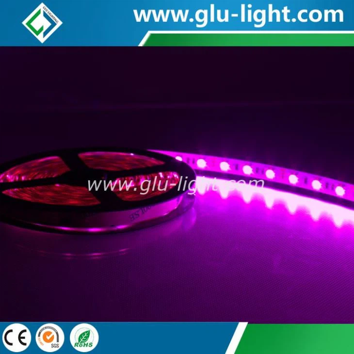 New design tough solid silicone corrosion-proof IP68 5050 RGBw led strip