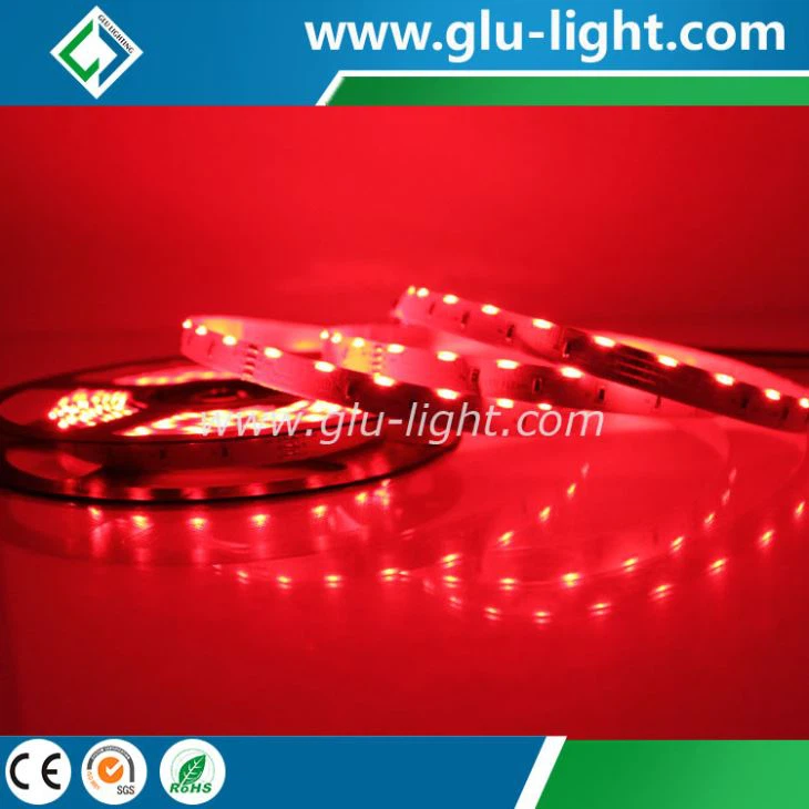 DC24V 020 Side view Flex led ribbon with 60 leds/m