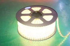 Tuam Tshoj Hoobkas pheej yig tus nqi 220V POLTION 5050 SMD LED Sawb Teeb